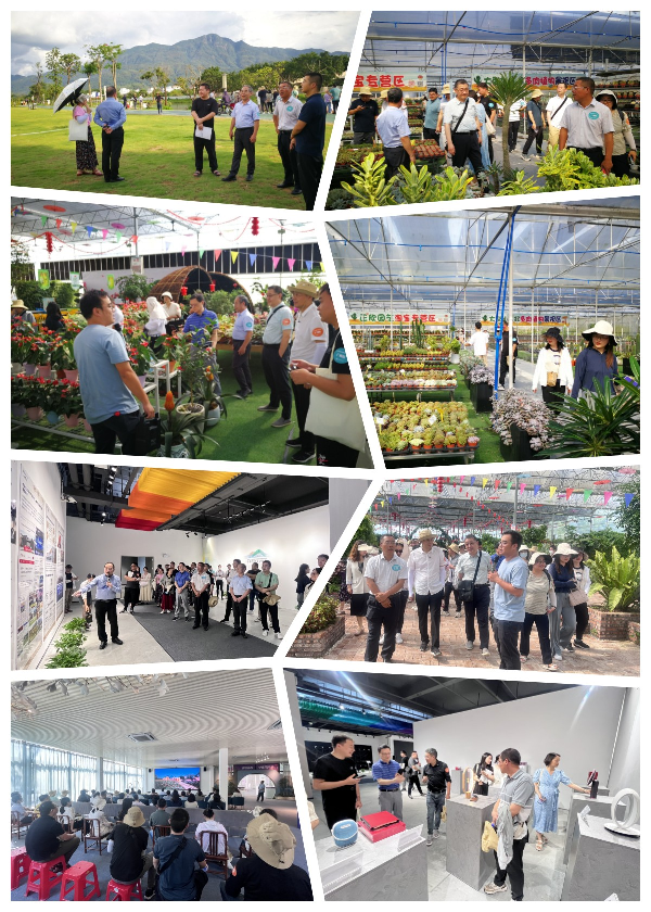 南宫NG28相信品牌的实力网址(中国)官网